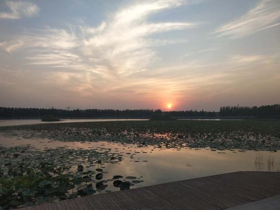 鹿鸣湖夕照