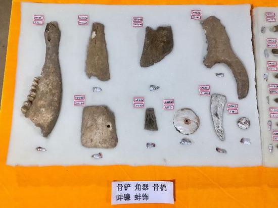 辛村遗址出土的骨铲、角器、骨梳、蚌镰、蚌饰等。新华社记者 李文哲 摄