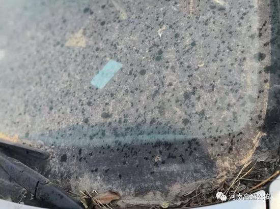 司机因懒得擦玻璃 在高速上停车看路牌 记6分罚200元