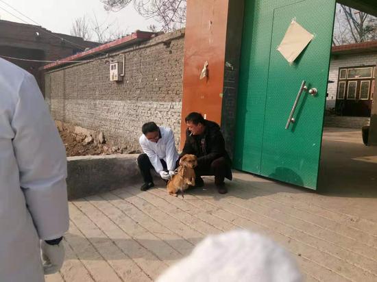 事发村庄16条狗被扑杀,60条狗被注射狂犬疫苗。 受访者供图