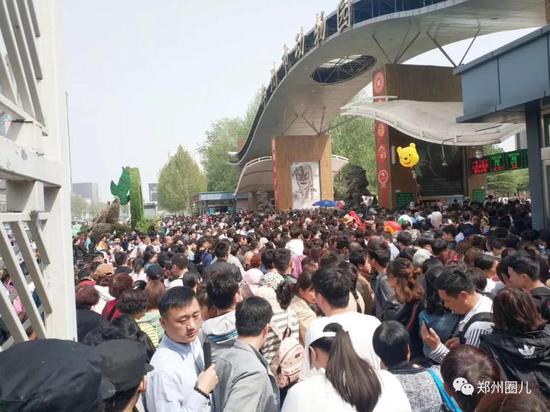 圖/@鄭州小管家