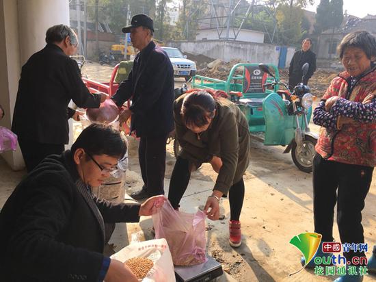 图为工作人员为农民发放“苏隆128”麦种。受访者供图