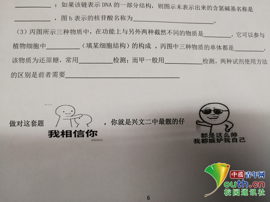 图为表情包试卷。中国青年网通讯员 程艺 供图