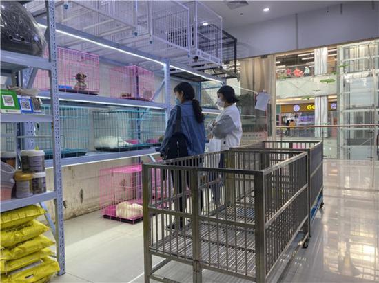疫情期间郑州宠物店月销售30万 有的却倒贴钱