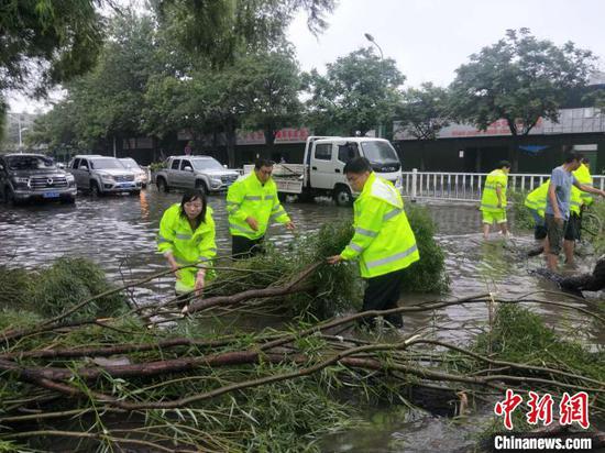 漯河市园林局工作人员清理树木断枝。漯河市城市管理局供图