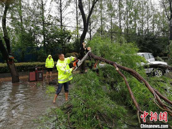 漯河市园林局工作人员清理树木断枝。漯河市城市管理局供图