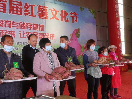 红薯个大味道甜,农家增收笑开颜。 董瑜雪 摄
