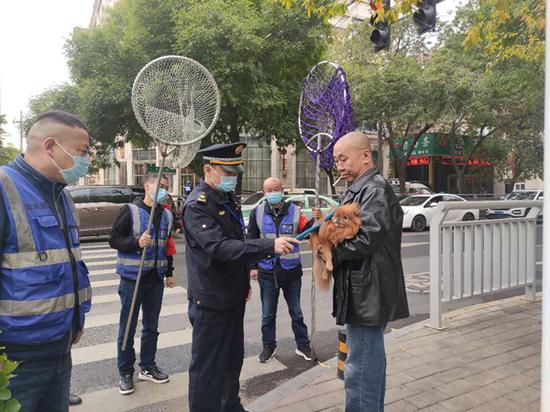 @郑州市民 违规养犬、遛犬、不年检将面临3000元处罚