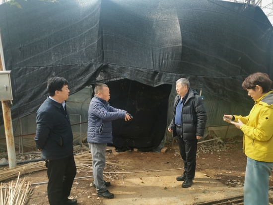 专家组成员向种植户了解受灾情况
