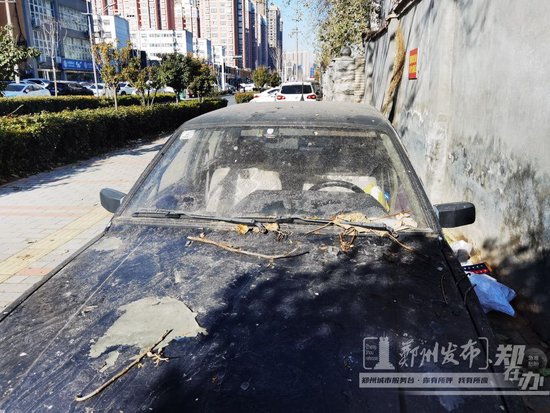 通站路半边停满私家车 发现违停拨打这个电话