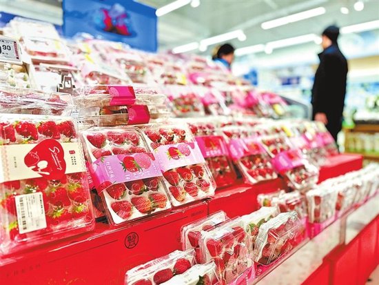 12月1日，郑州一家超市里，各类品种的新鲜草莓陆续上架。
