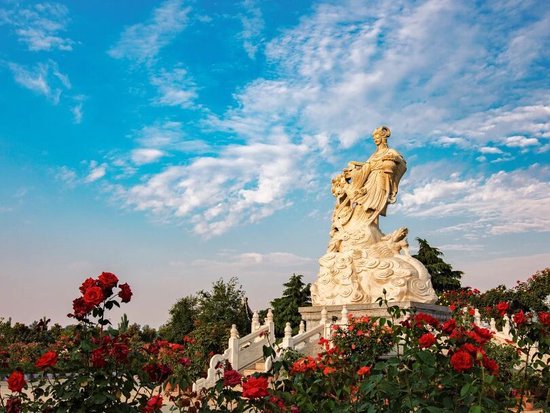 中国月季博览园。