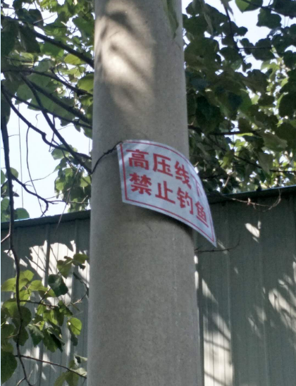事后,电力部门挂了“禁止钓鱼”的牌子