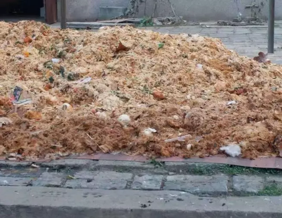 ▲部分餐廚垃圾、生活垃圾隨處堆放