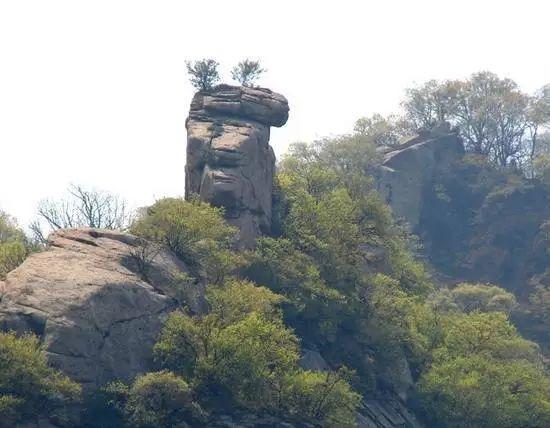地址:宜阳县张午乡七峪村