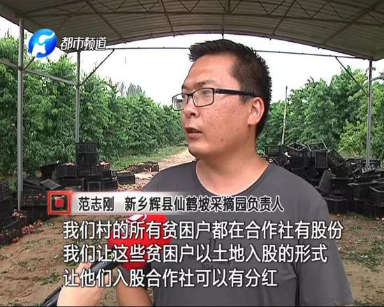 因为今年的倒春寒,