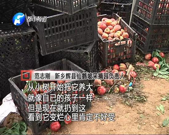本来产量就有所下降,