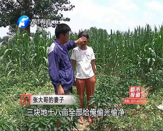 家住太康縣芝麻洼鄉的瓜農張大哥，今年年初承包了地，種植西瓜。