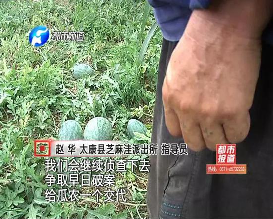 辛苦一年，傾注所有，一夜之間，化為泡影......