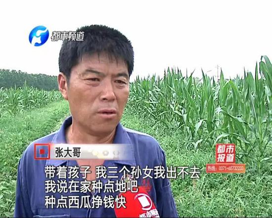 可是辛辛苦苦大半年