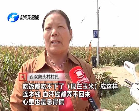 來源：都市頻道 編輯：邱瑾