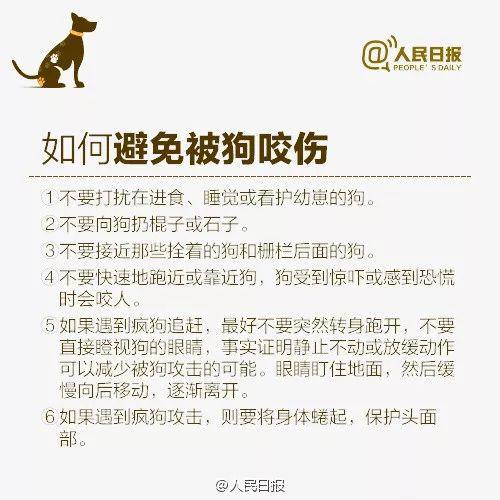 可怕! 周口沈丘突发恶犬伤人事件 疯狗流窜咬伤8人
