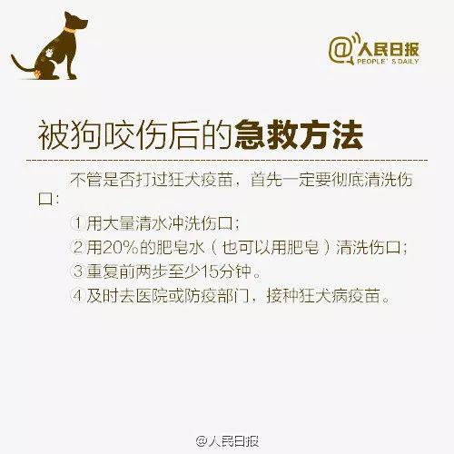 可怕! 周口沈丘突发恶犬伤人事件 疯狗流窜咬伤8人