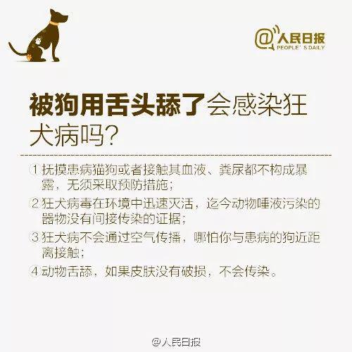 可怕! 周口沈丘突发恶犬伤人事件 疯狗流窜咬伤8人