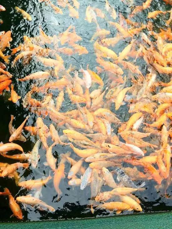 在路上|因为一首歌,爱上一座城!