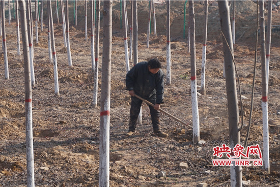 郝秋爽的母親正在干活。