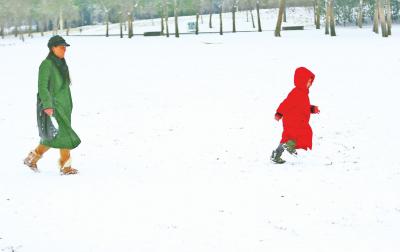 大雪过后尽开颜记者张琮摄影