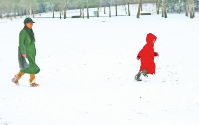 　　大雪过后尽开颜记者张琮摄影