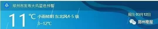 习惯了前几天的温暖小春风,这突然的五级大风,瘦姑娘们,别出门了!