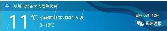 习惯了前几天的温暖小春风，这突然的五级大风，瘦姑娘们，别出门了！