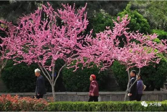 紫荆山公园