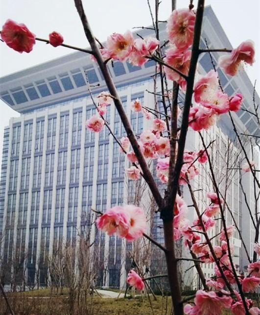 河南财经政法大学_副本.jpg