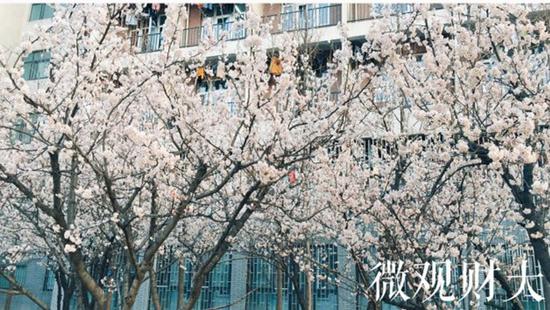 河南财经政法大学1.jpg