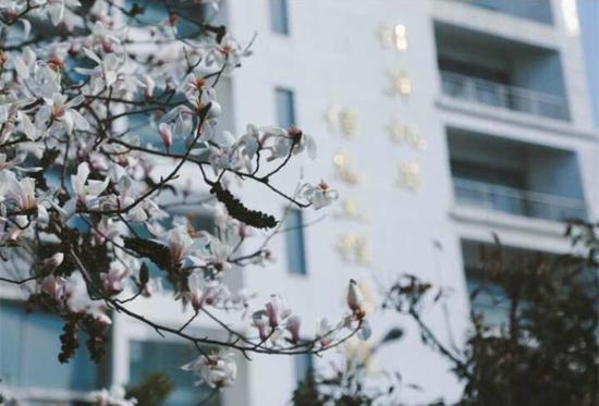 河南大学.jpg