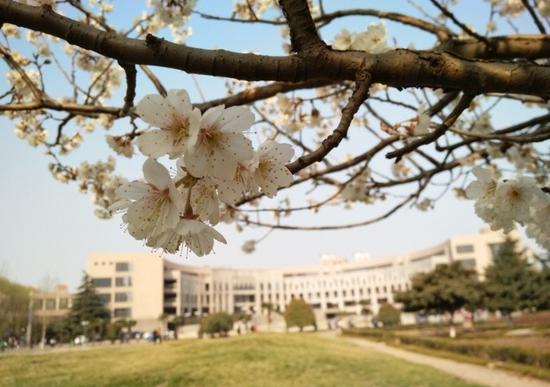 洛阳理工学院.jpg