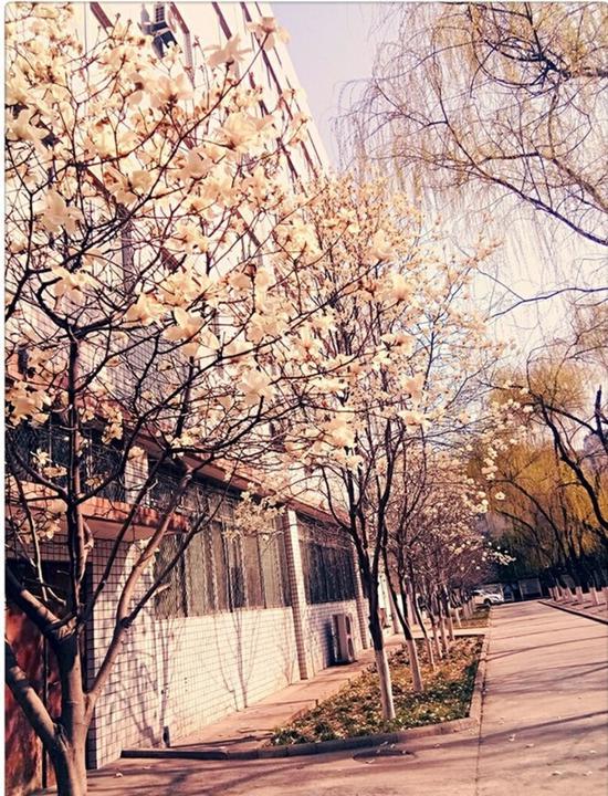 洛阳理工学院1.jpg