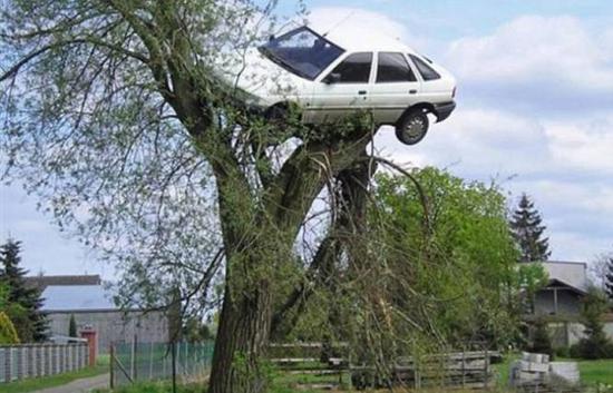 那些无法解释的奇葩车祸 被最后一个妹子征服