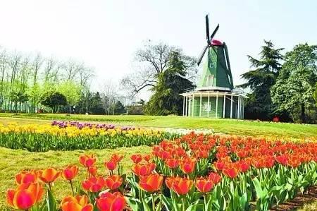 gdp全球第二_财经早汇：亚马逊股价创新高CEO成全球第二大富豪(2)