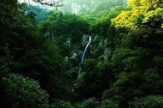 西峡老君洞是一个避暑胜地,这里曾经检测出了中原地区最大的负氧离子含量,可谓是名副其实的中原氧吧。