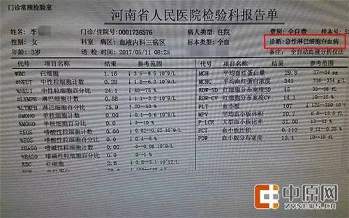 诊断报告