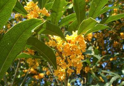 好消息!河南这8个区县被中央看上成为全国试点