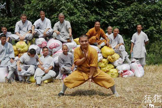 收割间隙，僧人们还在田地间打起了少林拳，阵阵喝彩声在山谷间回荡。一转眼，几位僧人还抬过来几框西红柿，给大家补充一下能量。