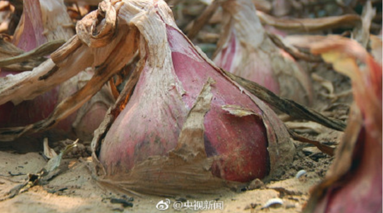 轉給更多人,幫幫他們!