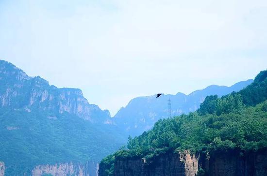小微的山间美食寻味之旅