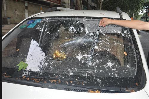 焦作男子酒后没拦到出租车 怒砸28辆车挡风玻