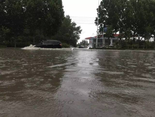 水中行驶的车 摄影 记者 僧少琴